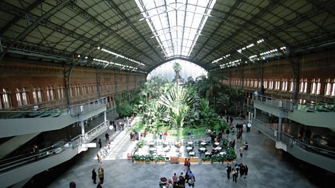 A view of Madrid's Estacion de Atocha from the upper concourse. The view leads down to the vast tropcial garden, with a series of stairwells to either side. Above the garden, the glass section of the roof allows sunlight into the building.