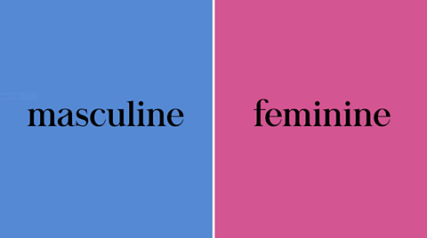 The gender of nouns in Spanish and masculine and feminine forms.