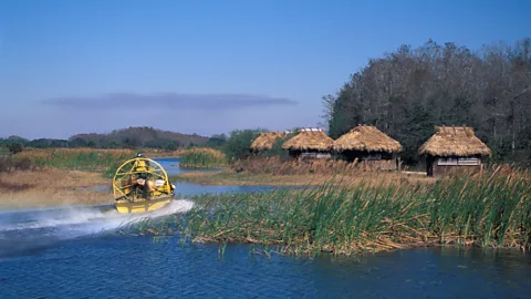 M Timothy O'Keefe/Alamy Miccosukee and Seminole families once lived in "chickee" huts across the Florida Everglades (Credit: M Timothy O'Keefe/Alamy)