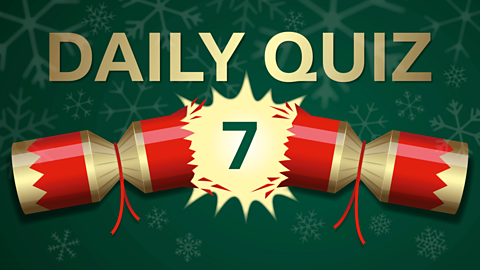 Christmas quiz of the day: Can you guess which celebrity wasn't born on Christmas day?