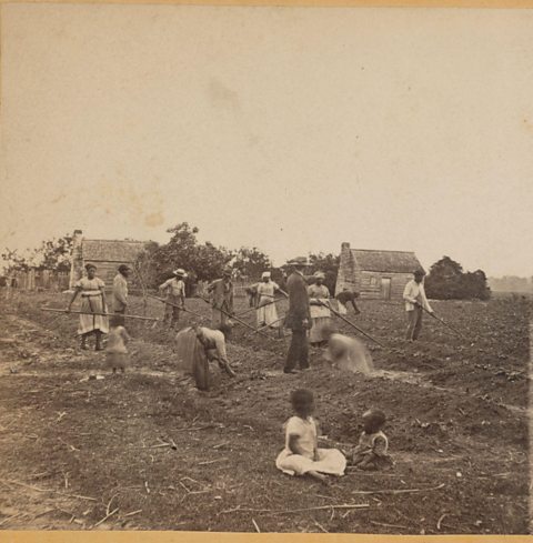 A photograph showing enslaved African American men, women, and children with a white overseer working on a cotton plantation in South Carolina USA, 1863.