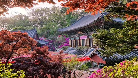 Ana Isabel Ferrer Ramirez Though visitors can subway to it, Yeonghwasa sits gorgeously secluded on the side of a mountain (Credit: Ana Isabel Ferrer Ramirez)