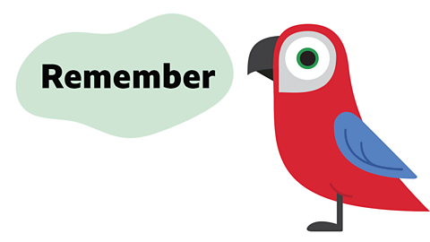 A illustrated parrot with a bubble saying 'Remember'.