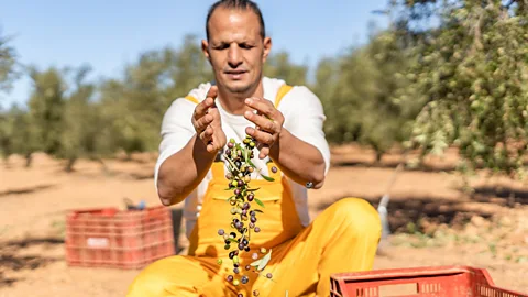 Raul Ortin/Getty Images man with olives