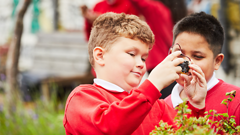 Investigating biodiversity