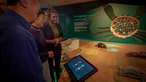 Tourism Australia The Australian Museum has one of the world’s most significant First Nations collections (Credit: Tourism Australia)