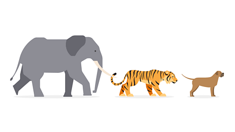 Brainteaser of the week: Can you draw the right conclusion?