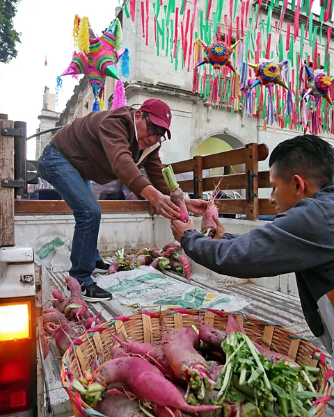 Mirja Vogel Radishes are passed down to competition participants as day breaks on 23 December in Oaxaca’s Zocalo (Credit: Mirja Vogel)