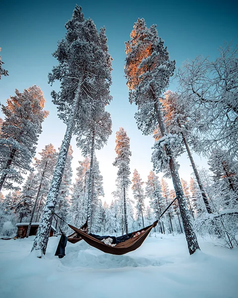 Meir Schoenbrunn Visitors to Haripoo can also spend the night wrapped up in a hammock in the forest (Credit: Meir Schoenbrunn)