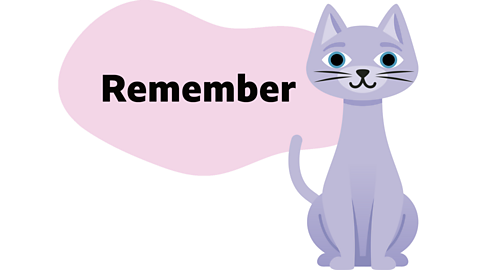 Illustration of a grey cat sitting up with a bubble saying 'remember'.