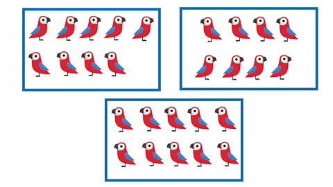 An illustration of 3 boxes with 8, 9 and 10 parrots in.