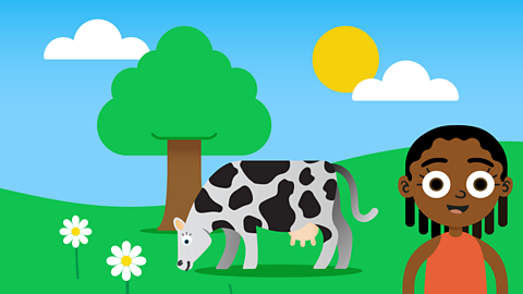 A cow in a field with two daisies. The cow has eaten the other two.