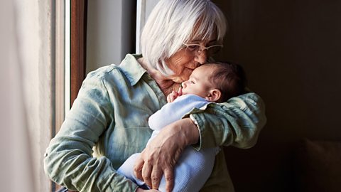 A grandma cradles a young baby in her arms, kissing their forehead.