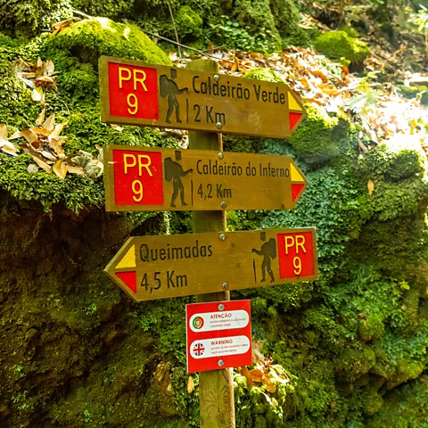 Unaihuiziphotography/Getty Images PR 9 The Levada do Caldeirão Verde hike offers some of the island's most spectacular scenery (Credit: Unaihuiziphotography/Getty Images)