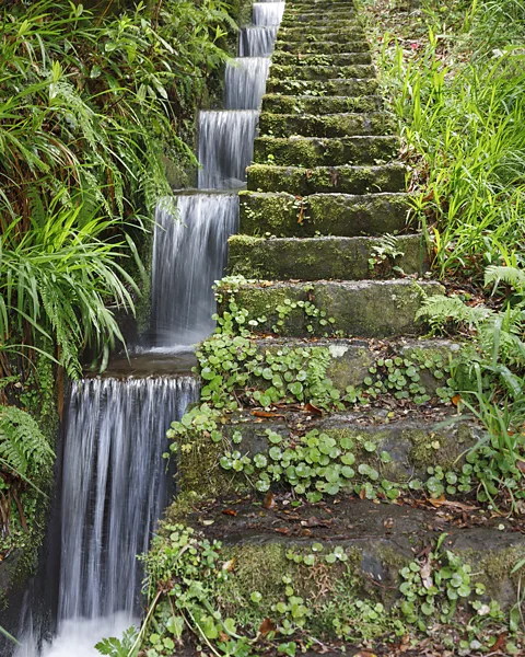 Paul Maguire/Getty Images The island's first levadas were built as part of the island's large sugar cane industry (Photo by Paul Maguire/Getty Images)