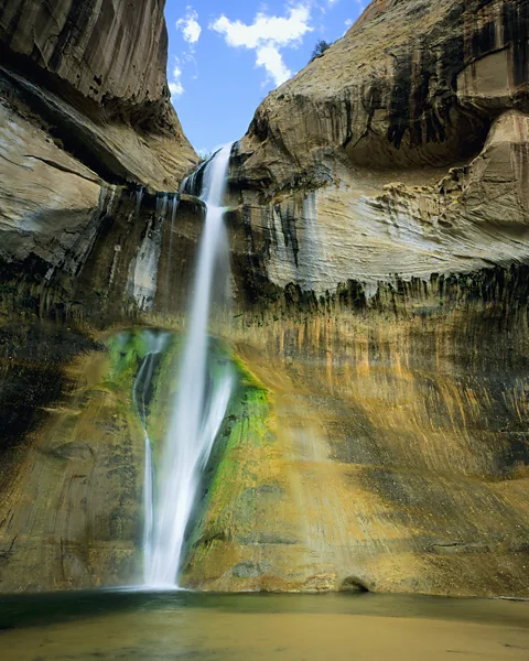 Scott Smith/Getty Images The trail to Lower Calf Creek Falls takes you through stunning scenery to a refreshing swimming hole (Credit: Scott Smith/Getty Images)