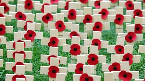 Small wooden crosses in the grass with paper poppies on them