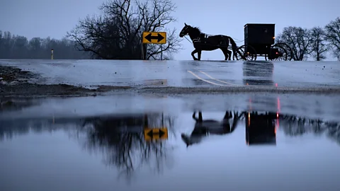 Getty Images An Amish buggy in Middlebury, Indiana. Using horse-drawn buggies is part of the Amish concept of plainness, which also includes speaking Pennsylvania Dutch (Credit: Getty Images)