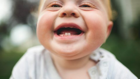 A baby smiles at the camera, showing off their first milk teeth.