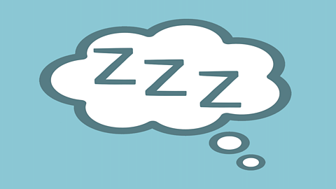 Baggit the Dream Maker