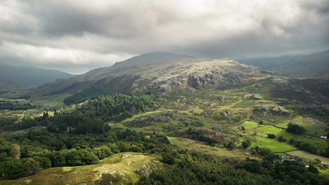 A landscape photograph of a mountain surrounded by trees.