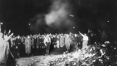 Mass book burning event in May 1933