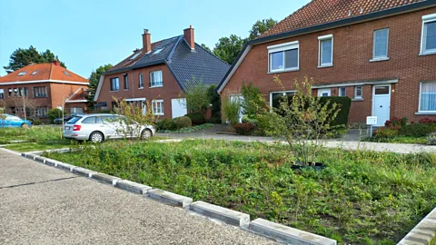 City of Leuven Local schemes are often backed by residents keen to see more green in their local area (Credit: City of Leuven)