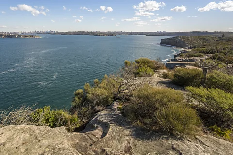 John Spencer/DPE The 10km Manly Scenic Walkway has epic views back onto the city (Credit: John Spencer/DPE)