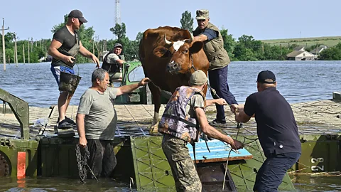 Getty Images An estimated 18 cubic km (4.3 cubic miles) of reservoir water burst through the destroyed Kakhovka dam in Ukraine, causing widespread floods (Credit: Getty Images)