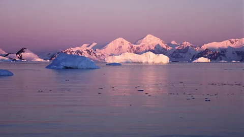 Alamy Antarctica is of great interest to researchers because it has a major influence on the Earth's climate and oceans (Credit: Alamy)