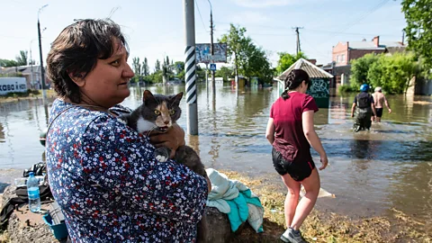 Getty Images A Ukrainian holds her pet cat above flood from burst Kakhovka dam (Credit: Getty Images)