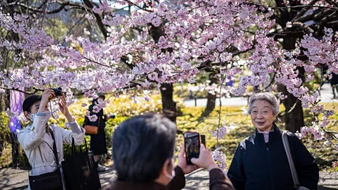 ゲッティイメージ 2023年3月19日、東京で人々が桜の木の写真を撮っている（提供：Getty Images）