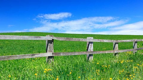 A wooden post and rail fence in a field under a blue sky