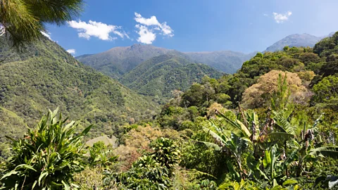 Pavel Tochinsky/Getty Images Chirripó National Park is named after Cerro Chirripó, which at 3,820m is the highest mountain in Costa Rica (Credit: Pavel Tochinsky/Getty Images)