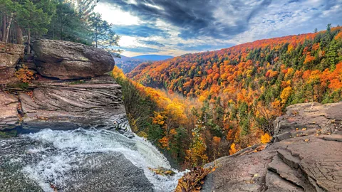 Carrie Thompson/Getty Images Dr Charles Ver Straeten believes that there are many more fossil forests preserved under modern forests in the Catskills (Credit: Carrie Thompson/Getty Images)