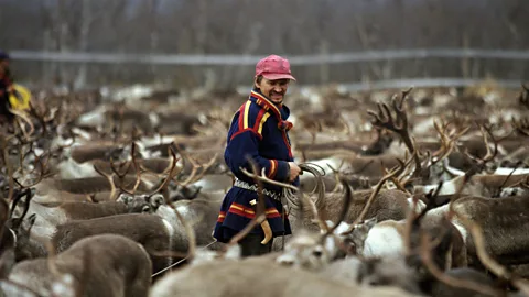 Getty Images Sami reindeer herders use a highly specialised vocabulary related to reindeer, snow and weather conditions (Credit: Getty Images)