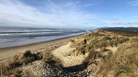 Nathaniel Scharping Oregon's dunes run in a strip a few miles wide along the Pacific coastline (Credit: Nathaniel Scharping)