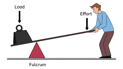 A diagram showing the load (a weight on one end), fulcrum (turning point at centre of the seesaw) and effort (a person pushing down on the other end) on a seesaw lever.