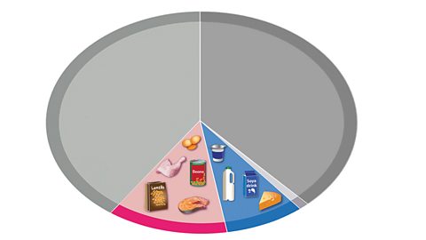 A circle with two large segements greyed out, with a smaller pink segment containing eggs, chicken leg,bag of lentils, piece of salmon and tin of beans, The blue segment containing yoghurt pot, milk, soya drink and a block of cheese