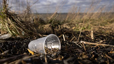 Microplastics 'significantly contaminating the air', scientists warn, Pollution