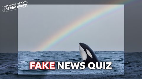 Quiz: Can you spot the fake news stories from June 2023?