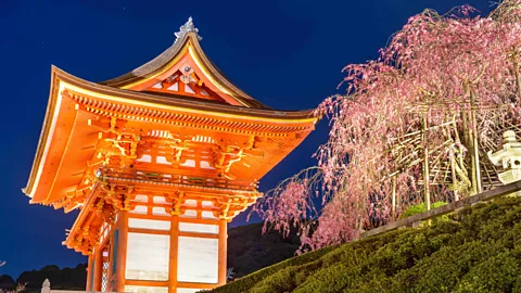 Alamy Stock Photo The cherry blossoms are even more romantic under the moonlight, especially at Kiyomizu Temple (Credit: Alamy Stock Photo)