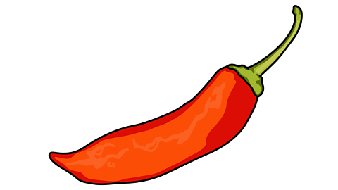 An illustrated red chilli