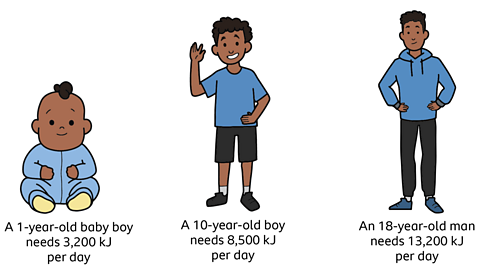 An illustrated baby boy with text underneath saying one year old baby boy needs three thousand two hundred kj per pay, a 10 year old boy with text underneath saying ten year old boy needs eight thousand five hundred kj per day, and an eighteen year man with text underneath saying eighteen year old man needs thirteen two hundred kj per day