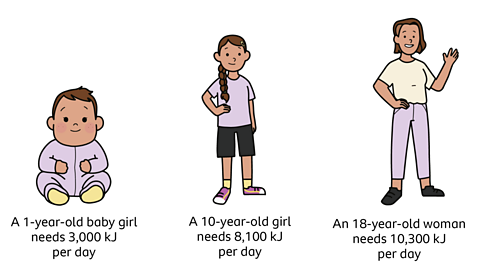 An illustrated baby girl with text underneath saying one year old baby girl needs three thousand kj per pay, a 10 year old girl with text underneath saying ten year old boy needs eight thousand one hundred kj per day, and an eighteen year woman with text underneath saying eighteen year old man needs ten thousand three hundred and one kj per day