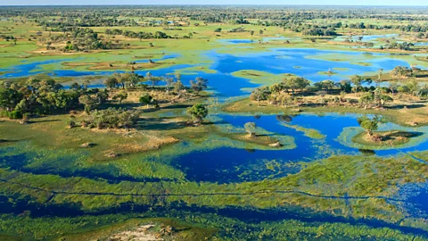 Kelly Cheng Travel Photography/Getty Images Waterways in the Okavango Delta