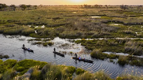 Martin Harvey/Getty Images A mokoro safari through the waters of the Okavango Delta is a truly special experience (Credit: Martin Harvey/Getty Images)