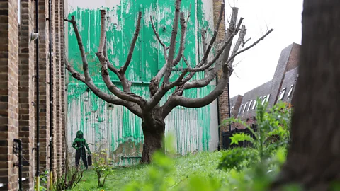 Getty Images Banksy's mural works better when viewed from a distance (Credit: Getty Images)