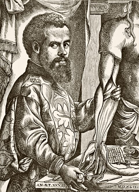 B' e Andreas Vesalius, 1514–1564, ùghdar an leabhair bhuadhmhoir air eòlas-bodhaig The Fabric of the Human Body