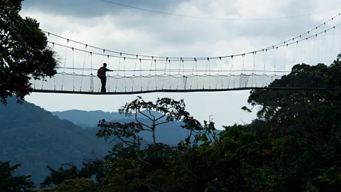 Ariadne Van Zandbergen/Alamy Bradt published the first English-language guide to Rwanda shortly after its genocide (Credit: Ariadne Van Zandbergen/Alamy)